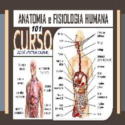 Baixar ANATOMIA e FISIOLOGIA HUMANA pdf, epub, eBook