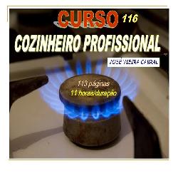 Baixar 116.COZINHEIRO PROFISSIONAL pdf, epub, eBook
