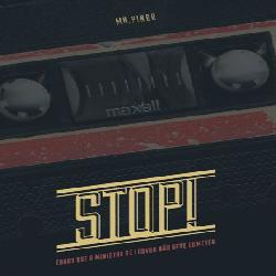 Baixar STOP – Erros que um Ministro de Louvor não deve Cometer pdf, epub, eBook