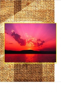 Baixar Poesias da Vida pdf, epub, eBook