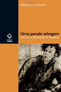 Baixar Uma parada selvagem pdf, epub, eBook