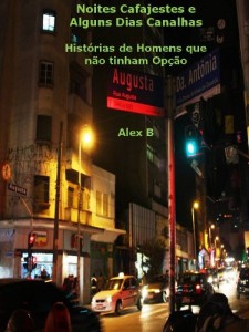 Baixar Noites Cafajestes e alguns Dias Canalhas pdf, epub, eBook