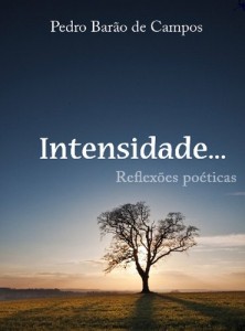 Baixar Intensidade pdf, epub, eBook