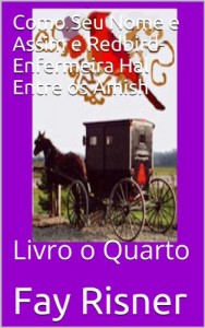 Baixar Como Seu Nome e Assim e Redbird-Enfermeira Hal Entre os Amish pdf, epub, eBook