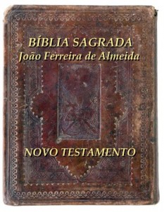 Baixar Bíblia Sagrada Novo Testamento (Série de Gays e Lésbicas) pdf, epub, eBook