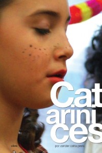 Baixar Catarinices pdf, epub, eBook