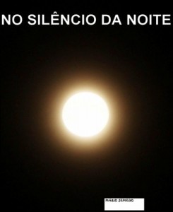 Baixar No Silêncio da Noite pdf, epub, eBook