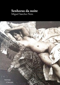 Baixar Senhoras da noite (Formas Breves) pdf, epub, eBook