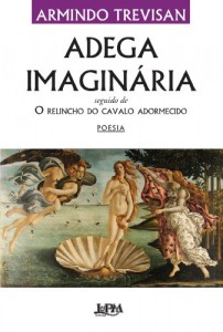 Baixar Adega imaginária: seguido de O relincho do cavalo adormecido pdf, epub, eBook