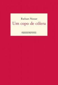 Baixar Um copo de cólera pdf, epub, eBook