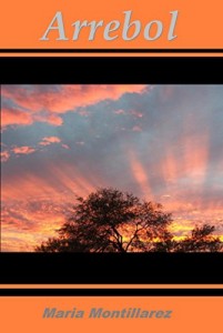 Baixar ARREBOL: 1 pdf, epub, eBook