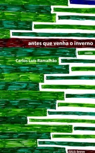 Baixar Antes que venha o inverno pdf, epub, eBook