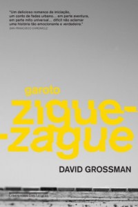Baixar Garoto zigue-zague pdf, epub, eBook