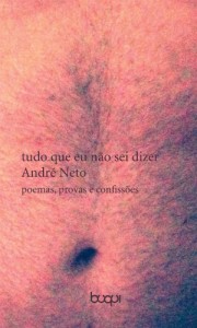 Baixar tudo que eu não sei dizer: poemas, provas e confissões pdf, epub, eBook