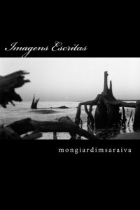 Baixar Imagens Escritas pdf, epub, eBook