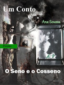 Baixar O Seno e o Cosseno pdf, epub, eBook