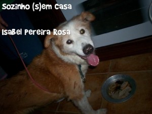 Baixar Sozinho (s)em Casa pdf, epub, eBook