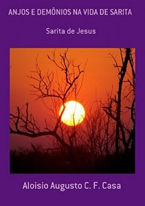 Baixar Anjos E Demônios Na Vida De Sarita pdf, epub, eBook