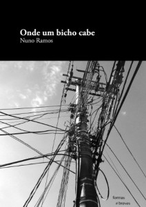 Baixar Onde um bicho cabe (Formas Breves) pdf, epub, eBook