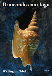Baixar Brincando com fogo pdf, epub, eBook