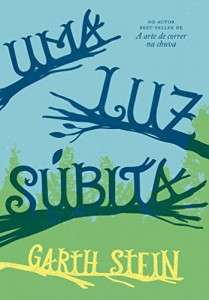 Baixar Uma luz súbita pdf, epub, eBook
