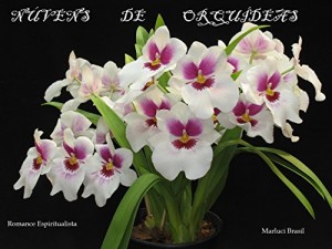 Baixar Núvens de Orquídeas pdf, epub, eBook