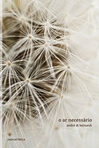 Baixar O ar necessário pdf, epub, eBook