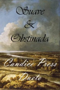 Baixar Suave & Obstinada pdf, epub, eBook