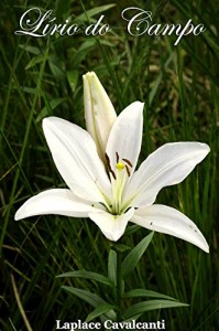 Baixar Lírio do Campo pdf, epub, eBook
