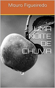 Baixar UMA NOITE DE CHUVA (DEZESSEIS CONTOS E NENHUM TROCADO) pdf, epub, eBook