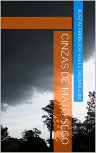 Baixar CINZAS DE MATO SECO pdf, epub, eBook