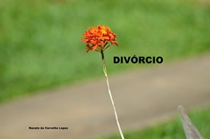 Baixar Divórcio pdf, epub, eBook