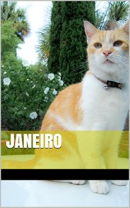 Baixar JANEIRO pdf, epub, eBook