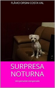 Baixar SURPRESA NOTURNA: Um presente inesperado pdf, epub, eBook