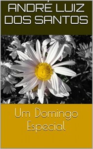 Baixar Um Domingo Especial pdf, epub, eBook