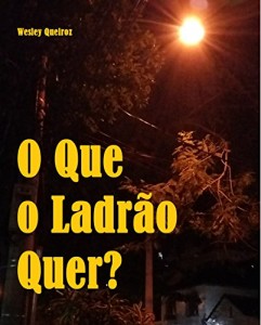 Baixar O Que o Ladrão Quer? pdf, epub, eBook