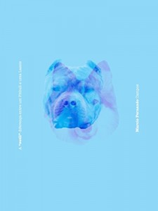 Baixar A “sutil” diferença entre um Pitbull e uma Lassie pdf, epub, eBook