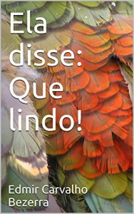 Baixar Ela disse: Que lindo! pdf, epub, eBook