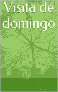 Baixar Visita de domingo pdf, epub, eBook
