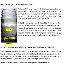 Baixar Manual do Kefir – O mais completo! pdf, epub, eBook