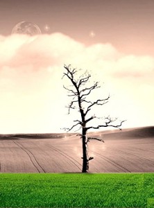Baixar ALÉM DA PRAÇA DESERTA: – pdf, epub, eBook