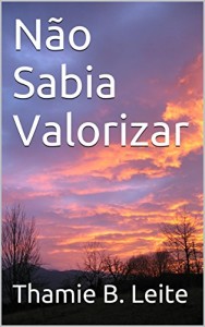 Baixar Não Sabia Valorizar pdf, epub, eBook