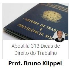 Baixar Apostila 313 Dicas de Direito do Trabalho – Concursos e OAB pdf, epub, eBook