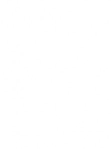 Baixar Wounded warriors pdf, epub, eBook