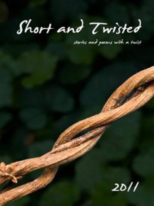Baixar Short and twisted 2011 pdf, epub, eBook