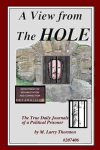 Baixar View from the hole, a pdf, epub, eBook