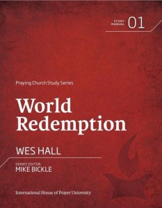 Baixar World redemption pdf, epub, eBook