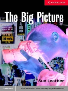 Baixar Big picture, the pdf, epub, eBook