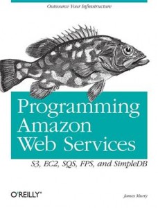 Baixar Programming amazon web services pdf, epub, eBook