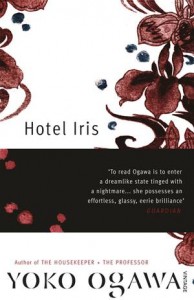 Baixar Hotel iris pdf, epub, eBook